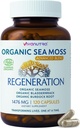 Sea Moss Capsules 1476 mg – Organik Seamoss Pills Superfood with Irish Sea Moss, Bladderwrack & Burdock | 120 Vegan Capsules for Vitality, Energy & Skin Support – Made in USA