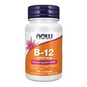 Şimdi Tamamlar, Folic Acid ile B-12 1000 mcg, Nervous System Health*, 100 Chewable Lozenges