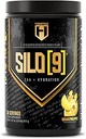 HOSSTILE SILO[9] Temel Amino Asitler, EAA & BCAA Toz, Electrolyte Hydration Support, Advanced Muscle Growth & Recovery, Pre or Post Workout Drink, Blueberry Lemonade, 30 Hizmetler