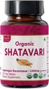 Shatavari 120 Tabletler | Asparagus Racemosus (Shatavari) | USDA Organik sertifikalı | Kadın Sağlığı ve Immune Sistemi | Diyet Tamam 120