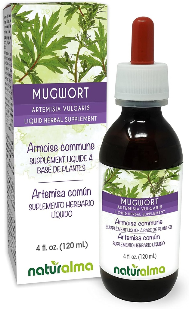 Naturalma Mugwort (Artemisia vulgaris) herb with Flowers Alkol-Free Tincture - 4 fl oz Sıvı Ekstraksiyon - Herbal Supplement - Vegan