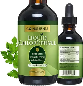 Go Nutrients Liquid Klorophyll Drops - Organik Mulberry Leaf Ekstraksiyon - Kadınlar için Doğal Detox & İç Deodorant, Men & Çocuklar – Non-GMO, Vegan, Mint Flavor, 2 oz Glass Şişe Şişe