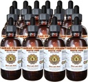 White Pine Liquid Extract, White Pine (Pinus Strobus) Bark Toz Tincture, Herbal Supplement, Hawaii Pharm, ABD'de, 15x4 fl.oz