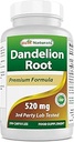 Best Naturals Dandelion Root 520 mg 250 κάψουλες