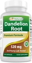 En İyi Doğallar Dandelion Root 520 mg 250 Capsules