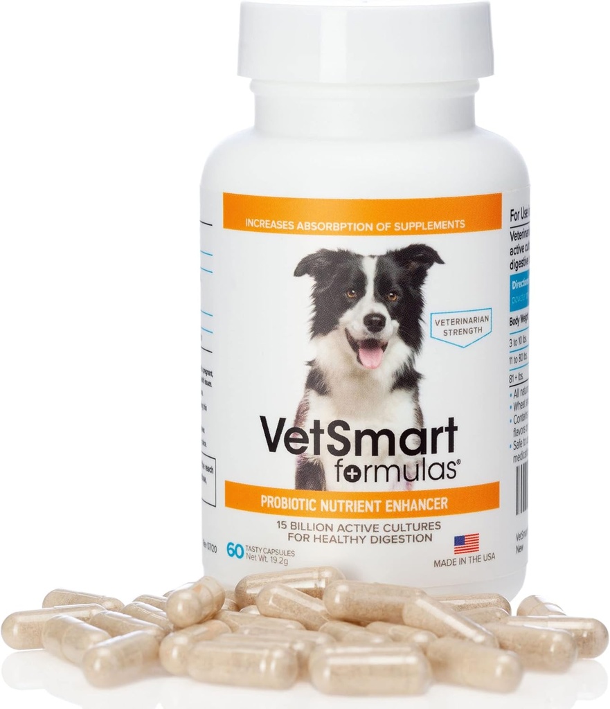 Köpekler Tamamı için Pet Probiyotikler - Nutrient Aborpsiyon için Enzymes - 15 Milyar Aktif Probiyotik Kültürler Enfeksiyonu Önlemek için Inflammation