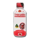 Senna Liquid Laxative for Adults & Kids - Flavor φράουλας, Φυσικό Senna Leaf & Prune - Αποσκληρυντής για την ανακούφιση της δυσκοιλιότητας - Φυτικό Σιρόπι για την υποστήριξη του εντέρου, Digestive Cleanse - 8oz