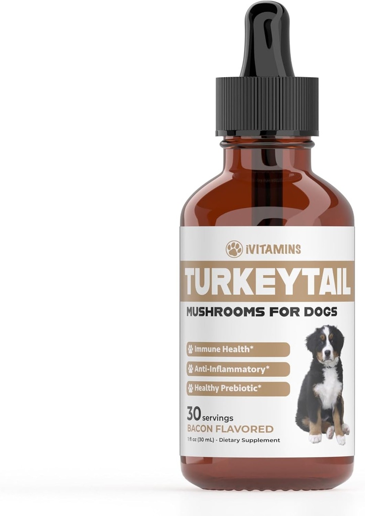 Türkiye Köpekler için Tail Mushroom | Immune Sistemini artırmak için yardım et, sağlıklı bir prebiyotik ve çok daha fazlası | Türkiye Köpekler için | Köpekler için Mushrooms | Dog Mushroom Supplements | 1 fl oz