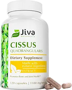 Jiva Botaniks Cissus Quadularis Capsules 550 mg - Yüksek Potency Cissus Toz Normal Bone Health & Normal Ortak Destek - 120 Capsules (Görünen 1)