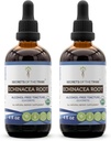 Echinacea Root USDA Organic Tincture | Alkol-Free Extract, High-Potency Herbal Drops, Immune System Health | Made from 100% sertifikalı Organik Echinacea Root (Echinacea Purpurea) 2x4 oz