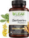 B'Leaf Nature Berberine Phytosome, 120 Capsules - Metabolik ve Cardiovascular Destek için 1100 mg Berberine Supplement - Vegan, Gluten-Free, Non-GMO Berberine Phytosome Capsules for Immune Wellness