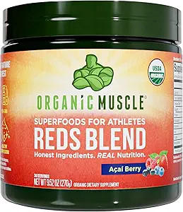 Organic Muscle Brain Boost Nootropics Blend - Vegan & Organic Superfood Health Supplements for Focus, Memory & Productivity with Ashwagandha, Ginkgo & Ginseng - Chocolate Flavor, 20 Servings