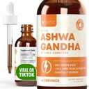 Rejuvica Health Active Ashwagandha - Advanced Liquid Supplement - Withania Somnifera Ekstraksiyon - Ashwagandha Roots Only - Natural Occurring Withanolides