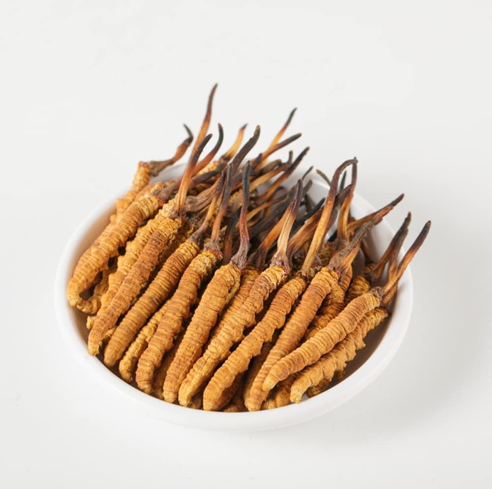 Wild Cordyceps, All Himalyan Cordyceps Sinensis Mushroom, Real and Very Rare, High Grade, Boost Enerji, Erkekler ve Kadınlar için Stresin Azaltılması, Lamjung Nepal Keeda Zadidi
