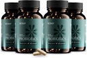 BIOMA Προβιοτικά για τη Διαχείριση του Βάρους & Digestive Health, 3 σε 1 Gut Health Προβιοτικά και Πρεβιοτικά / Μεταβιοτικά, Slow Release Synbiotic Probiotic Κάψουλες για την Υγεία των Ούρων Multi Enzyme (240 Caps)