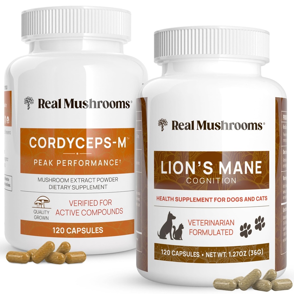 Real Mushrooms Cordyceps for Humans (120ct) and Lions Mane for Pets (120ct) - Δέσμη για την ενέργεια, τη ζωτικότητα & τη γνώση - Vegan, Non-GMO, Gluten-free, χωρίς κόκκους Mushroom Extract Συμπληρώματα
