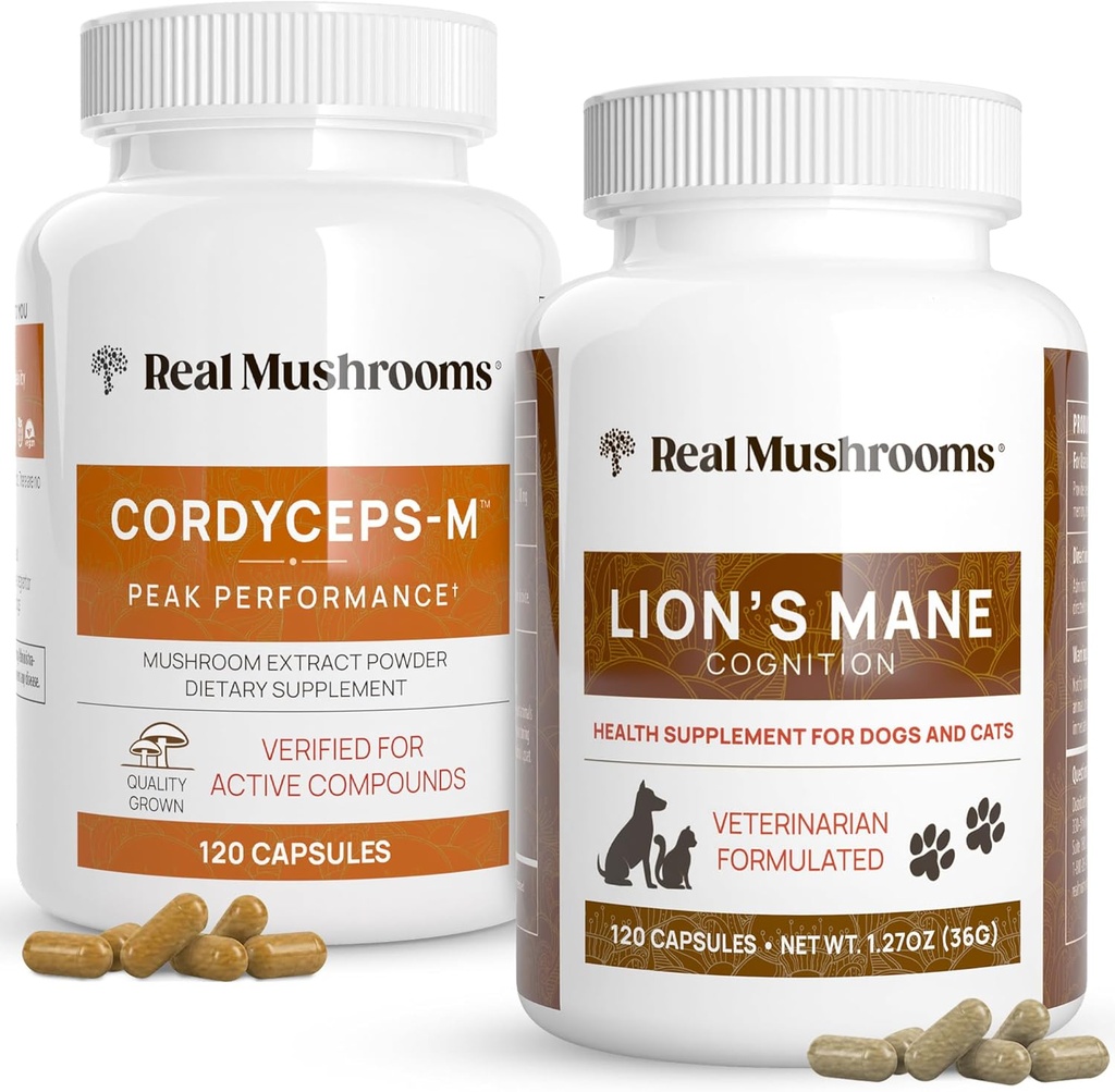 Real Mushrooms Cordyceps for Humans (120ct) and Lions Mane for Pets (120ct) - Δέσμη για την ενέργεια, τη ζωτικότητα & τη γνώση - Vegan, Non-GMO, Gluten-free, χωρίς κόκκους Mushroom Extract Συμπληρώματα