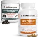 Gerçek Mushrooms Cordyceps for Humans (120ct) & Mushroom Immune Pet Chews (60ct) - Enerji, Vitality & Immunity - Ashwagandha, Astragalus & More - Vegan, Non-GMO, Gluten-Free,