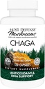 Host Defense Chaga Capsules - Immune System Support Supplement - Chaga Mushroom Capsules for Antioksi Activity Support - Diyetik Mushroom Supplement - 120 Capsules (60 Hizmetler)*