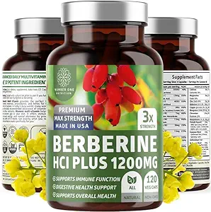 Bir Beslenme N1N Premium Berberine Plus 120 Caps, 1200 mg, Natural Supplement Supports Anti-Aging, Cellular Health, Energy and Digestion