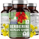 Bir Beslenme N1N Premium Berberine Plus 120 Caps, 1200 mg, Natural Supplement Supports Anti-Aging, Cellular Health, Energy and Digestion
