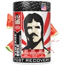Vintage Build – Post Processed Recovery & Muscle Building Powder Drink for Muscle Strength & Growth - Μειώνει τη λύπη – Creatine Monohydrate, BCAAs, L-Glutamine – Juicy Watermelon Flavor – 388g