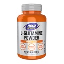Şimdi Gıdalar L-Glutamine Pure Toz 6 ozz
