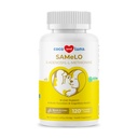 Köpekler için aynı - 120 Chewable Tabletler - S-Adenosyl-L-Methionine, Liver Supplement - Beyin Sağlığı, Bilişsel Destek, Canlı Destek (Same Tablet)