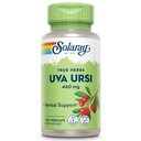 SOLARAY Uva Ursi Leaf 460 mg | Sağlıklı Bladder, Kidney & Urinary Tract Function Support | Non-GMO | 100ct (Get 3 Daily)