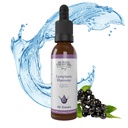 Buried Treasure Lymphatic Harmony Drops - 2oz, 30 Hizmet, Cleavers, Burdock, Echinacea ve Astragalus