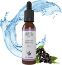 Buried Treasure Lymphatic Harmony Drops - 2oz, 30 Servings, Lymphatic Supplement with Cleavers, Burdock, Echinacea, and Astragalus