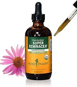 Herbm Pharm, Active Immune Sistem Desteği için Organik Süper Echinacea Sıvı Türlemeyi Onayladı - 4 Oz