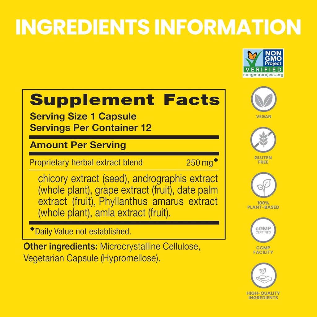 Himalaya PartisiSmart, 12 Capsule Tube - Alkol Breakdown İçmeden Daha İyi Bir Sabah İçin Canlı Destek - Bitki bazlı, Vegan, Non-GMO, Gluten Free, Klinik olarak Studied (Pack of 2)