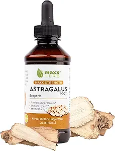 Maxx Herb Astragalus Kökleri - Max Strength Liquid Tincture Absorbs Immune Support and mental Clarity - 4 Oz Şişe (60 Hizmet)
