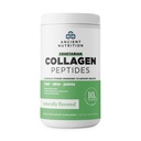 Eski Beslenme Vejetaryen Collagen,, Collagen Peptides Toz, Doğal Flavor, Prebiyotikler ve Probiyotikler, Sağlıklı Skin, Saçlar, Ortaklar, Digestion, 28 Hizmetler