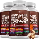 NEW AGE Lions Mane Mushroom Supplement with Turkey Tail Reishi Cordyceps Chaga with Marshmallow Root 180