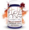 Nootropics Depot Tribulus Extract Capsules | 500 mg |% 20 Protodioscin | Tribulus terrestris | Fitness, Mood, & Vitality | Count 60
