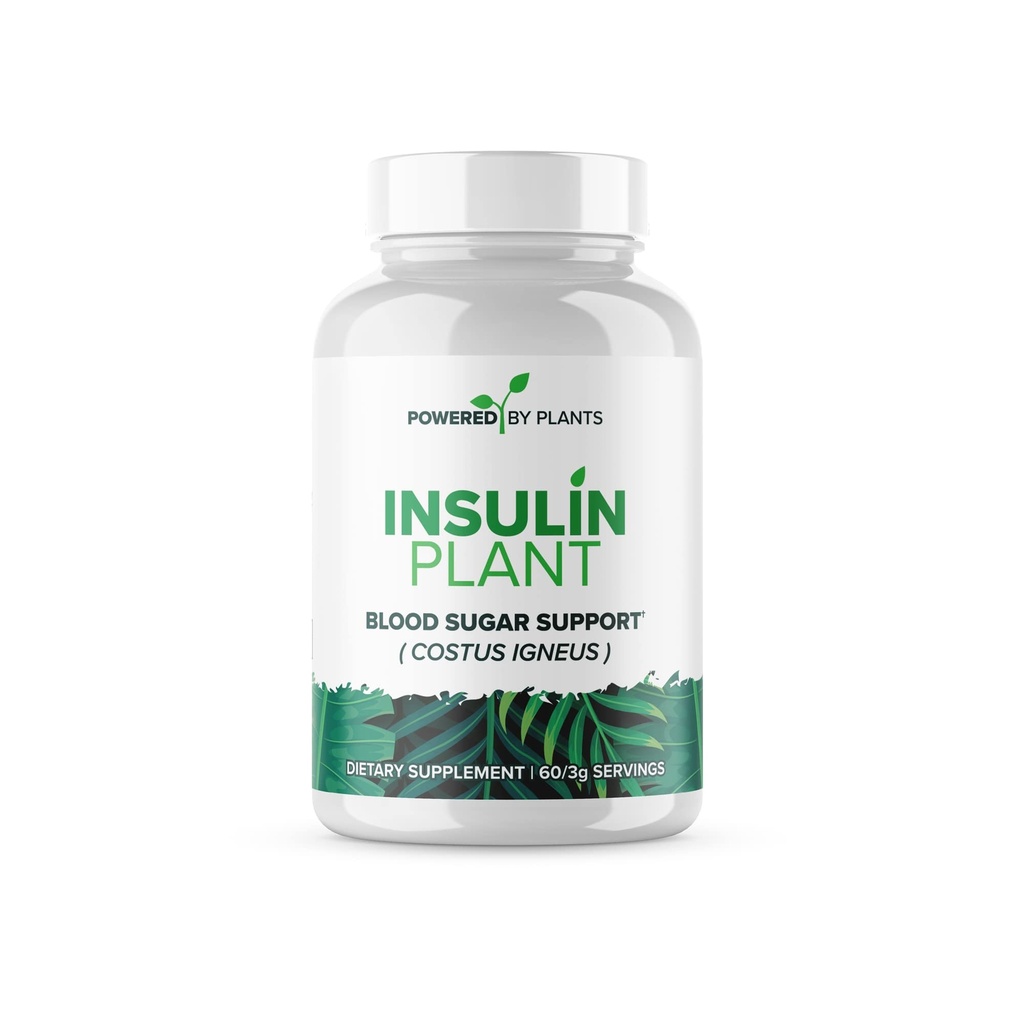 Κάψουλες Φυτών Ινσουλίνης - 3000mg Κόστους Igneus Leaf Σκόνη χωρίς υποδοχές, πληρωτικά & γλουτένη - Vegan, μη ΓΤΟ Συμπληρώματα για γυναίκες και άνδρες από Powered X Plants, 240 Κάψουλες