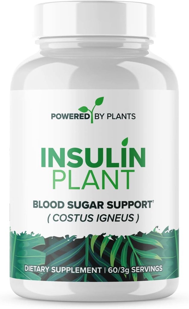 Insulin Plant Capsules - 3000 mg Costus Igneus Leaf Toz No Binders, Fillers & Gluten - Vegan, Non GMO Supplements for Women & Men by Powered X Plant, 240 Capsules