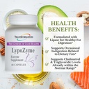 SAĞLI GENESIS OF GOOD SA LypoZyme Enzyme Supplement, Advance Lipase Enzyme Assembly for Health Digestion & Nutrient Abors, Non-GMO,60 Cap