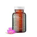 Yerli Formulaler 3 Proteolytic Enzyme & Spore Probiyotik Mix Supplement - 60 Capsules - Gelişmiş Biofilm Disruption Aid - Destek GI Health, Fibromyalgia, Gut Flora, Kasık