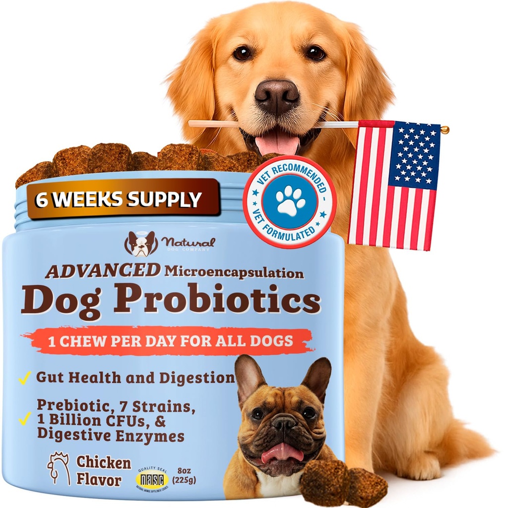 Doğal Köpek Şirketi Gut Health & Canine specific Probiyotiks Chews, 1 Daily Chew for All Dogs, Prebiyotiks & Digestive Enzymes for Digestion, Gas, Loose Stool, Immune System & Bowel Support