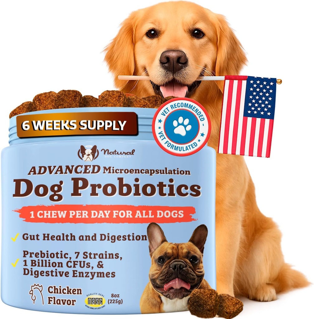Doğal Köpek Şirketi Gut Health & Canine specific Probiyotiks Chews, 1 Daily Chew for All Dogs, Prebiyotiks & Digestive Enzymes for Digestion, Gas, Loose Stool, Immune System & Bowel Support