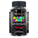 ALPHA LION Gets Candy, Supplement Pills for Muscle Pump & Blood Flow, Nitrik Oksit ATM, Supports mental Focus, Workout Performance, 63 Capsules (Nitrosigine)