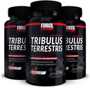 For Men, 3-Pack, Tribulus testosteron ATM for Men, Male Vitality Supplement, Tribulus Extract & Natural Materialss for Superior Abors, 1000 mg, 180 Capsules