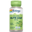 SOLARAY Olive Leaf Capsules 410 mg for Men & Women - Olive Leaf Herb Caps for Natural Herbal Support, Non GMO, Vegan - 100 Veg Caps