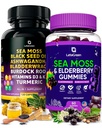 Sea Moss Capsules + Gummies Sche, 60 İrlandalı Deniz Moss Gummies + 120 Ocean Wild SeaMoss Capsules with Vitamins and Minerals