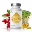 Mara Labs BerbElite 