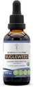 Bugleweed USDA Organic | Alkol-FREE Extract, High-Potency Herbal Drops, Respiratory System | %100 sertifikalı Organik Bugleweed (Ze Lan, Lycopus Virginicus) Herb (2 FL OZ)
