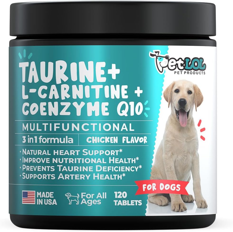L-Carnitine ve Coenzyme Q10 (CoQ10) ile Köpekler için Taurine Supplement: Vet Endorsed For Enlarged Heart (DCM), Congestive Heart Başarısız, Taurine Deficiency: 3-in-1 | Dog Supplements- 120ct